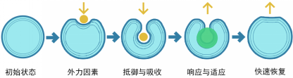 bevictor伟德官网-韦德官方网站
